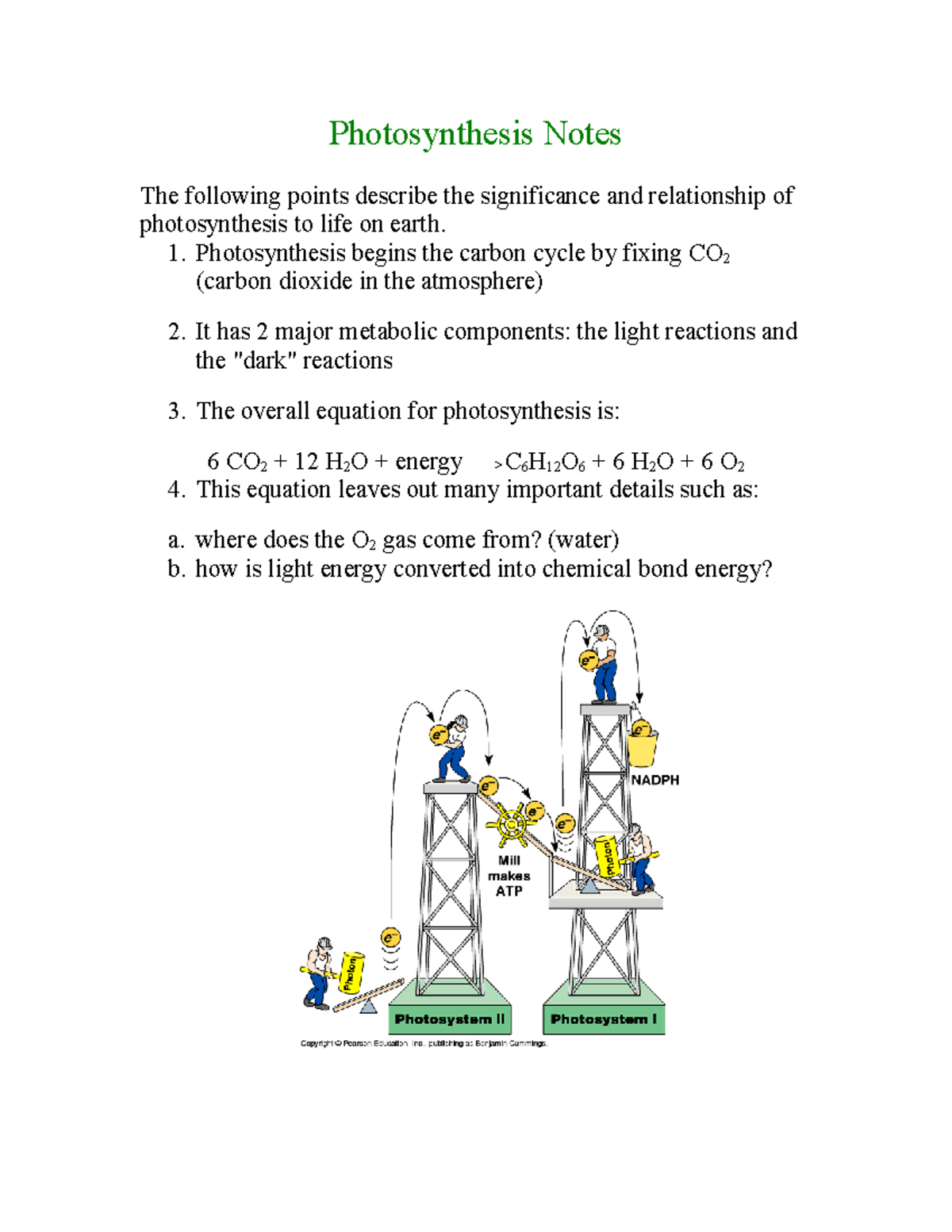 Chapter 10 Photosynthesis - Photosynthesis Notes The Following Points ...