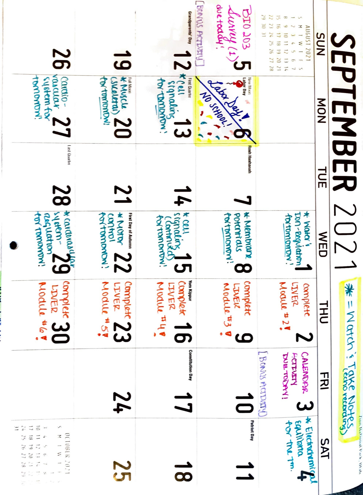 Bonus Calendar Activity BIO 203 SBU Studocu