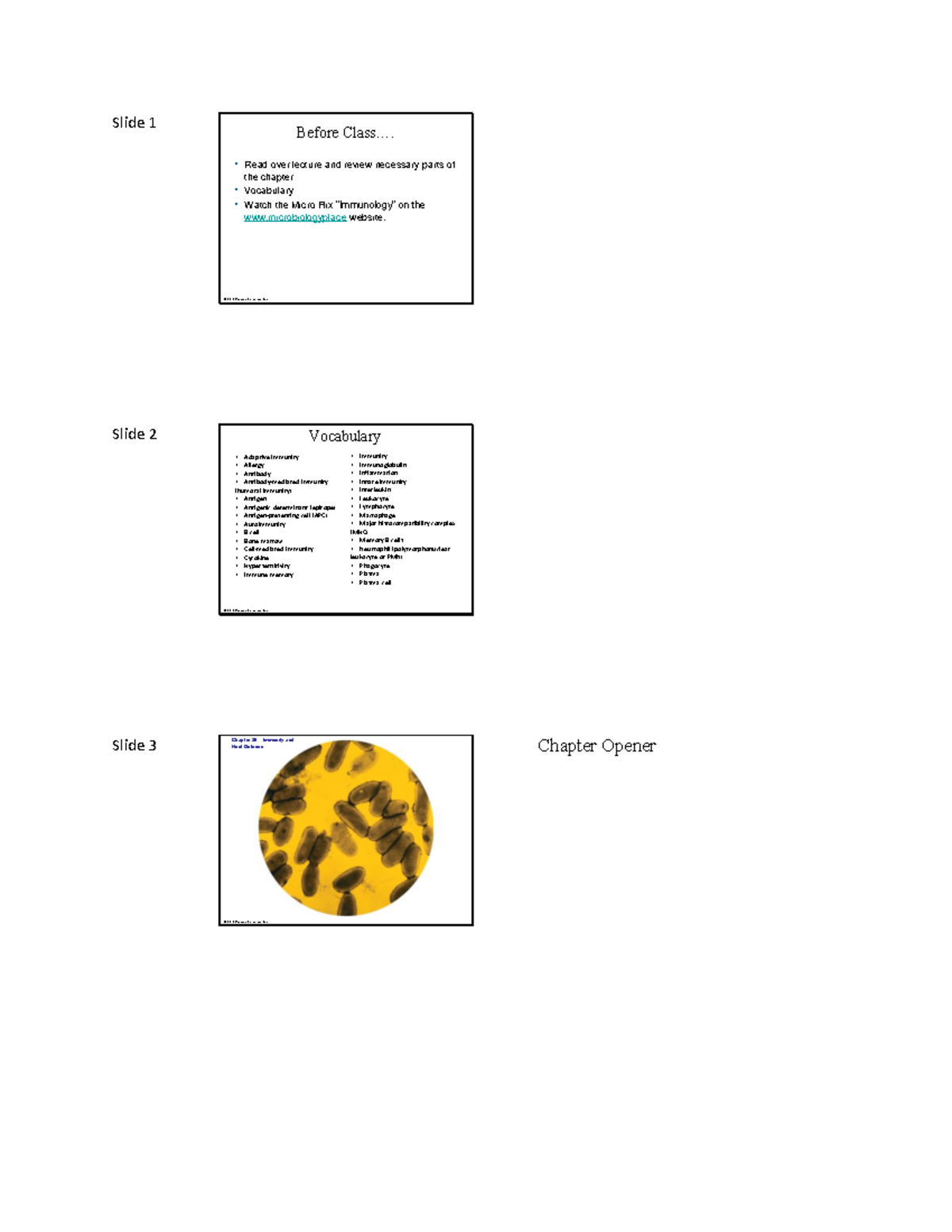 Ch. 28 - Lecture with notes on the side - Slide 1 © 2012 Pearson ...