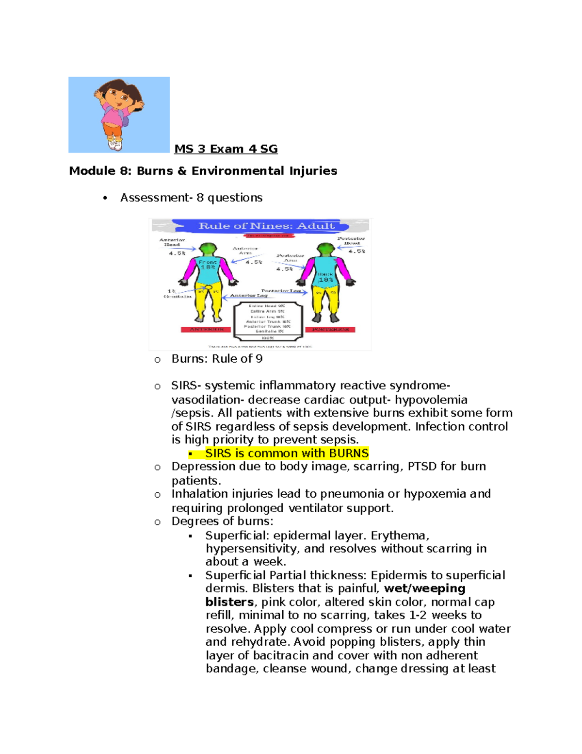 MS 3 Exam 4 Study guide - MS 3 Exam 4 SG Module 8: Burns ...