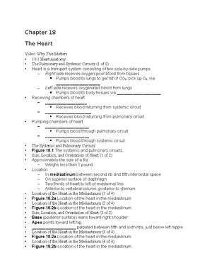 Chapter 20 - Anatomy lymphatic system - Chapter 20 The Lymphatic System ...