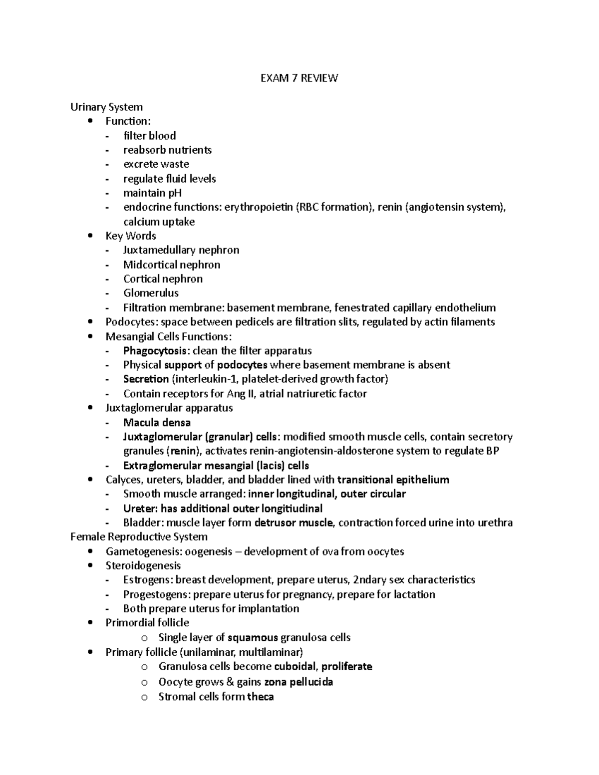 EXAM 7 Review - EXAM 7 REVIEW Urinary System Function: - filter blood ...
