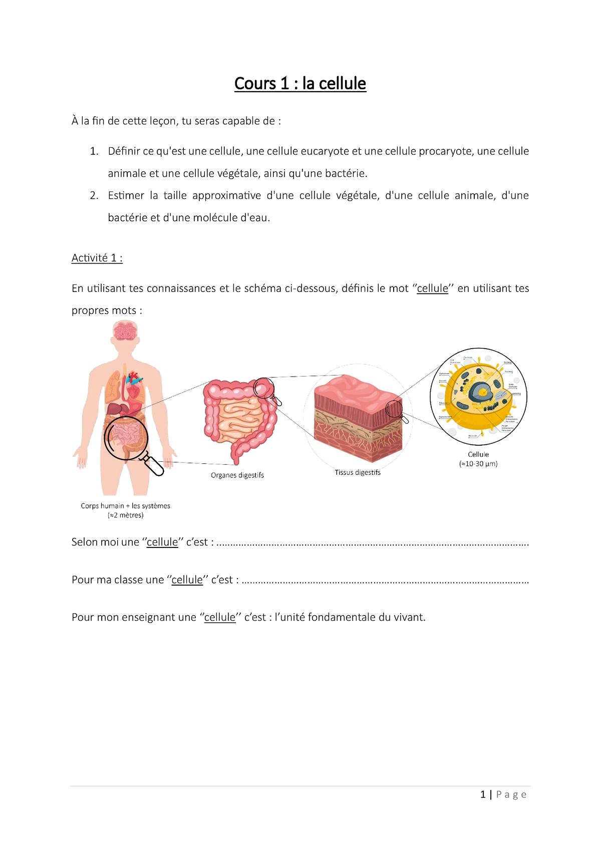 Feuilles élèves Cours 1 (la Cellule) Prof - Cours 1 : La Cellule À La ...