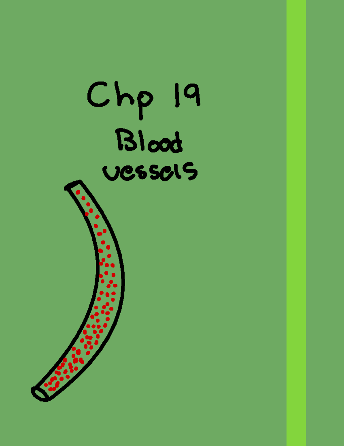 Chapter 19 - Vessels - notes - Chp 19 Blood vessels E. . ' , ÷ ÷ ...