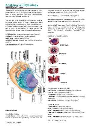 Anatomy visual data 7