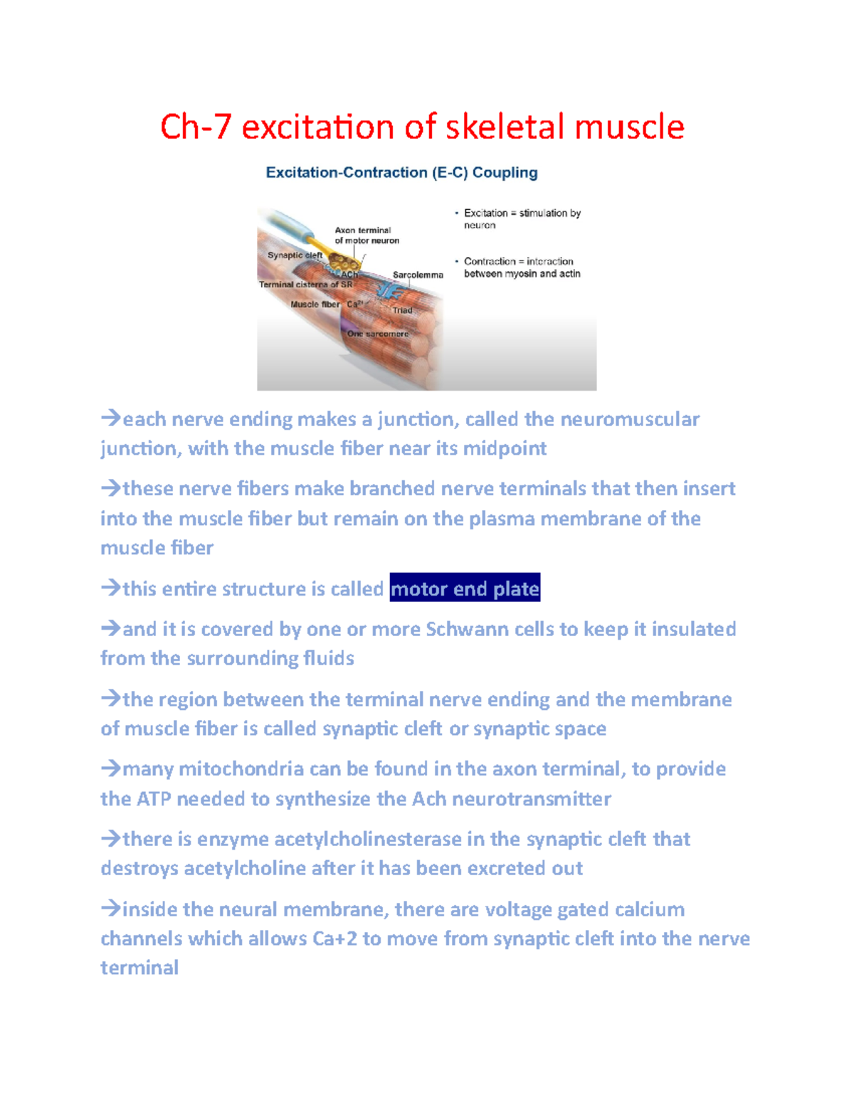 Ch-7 Skeletal Muscle Excitation - Ch-7 Excitation Of Skeletal Muscle ...