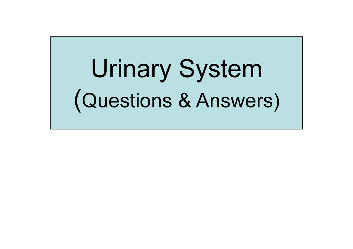 critical thinking questions about kidney