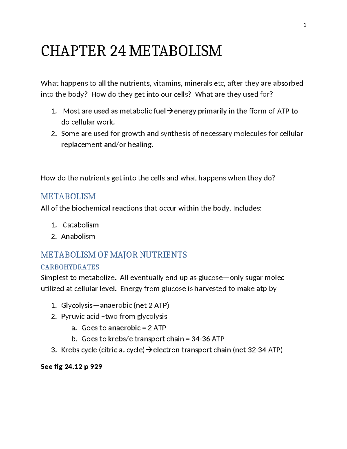 Chapter 24 Metabolism notes - CHAPTER 24 METABOLISM What happens to all ...