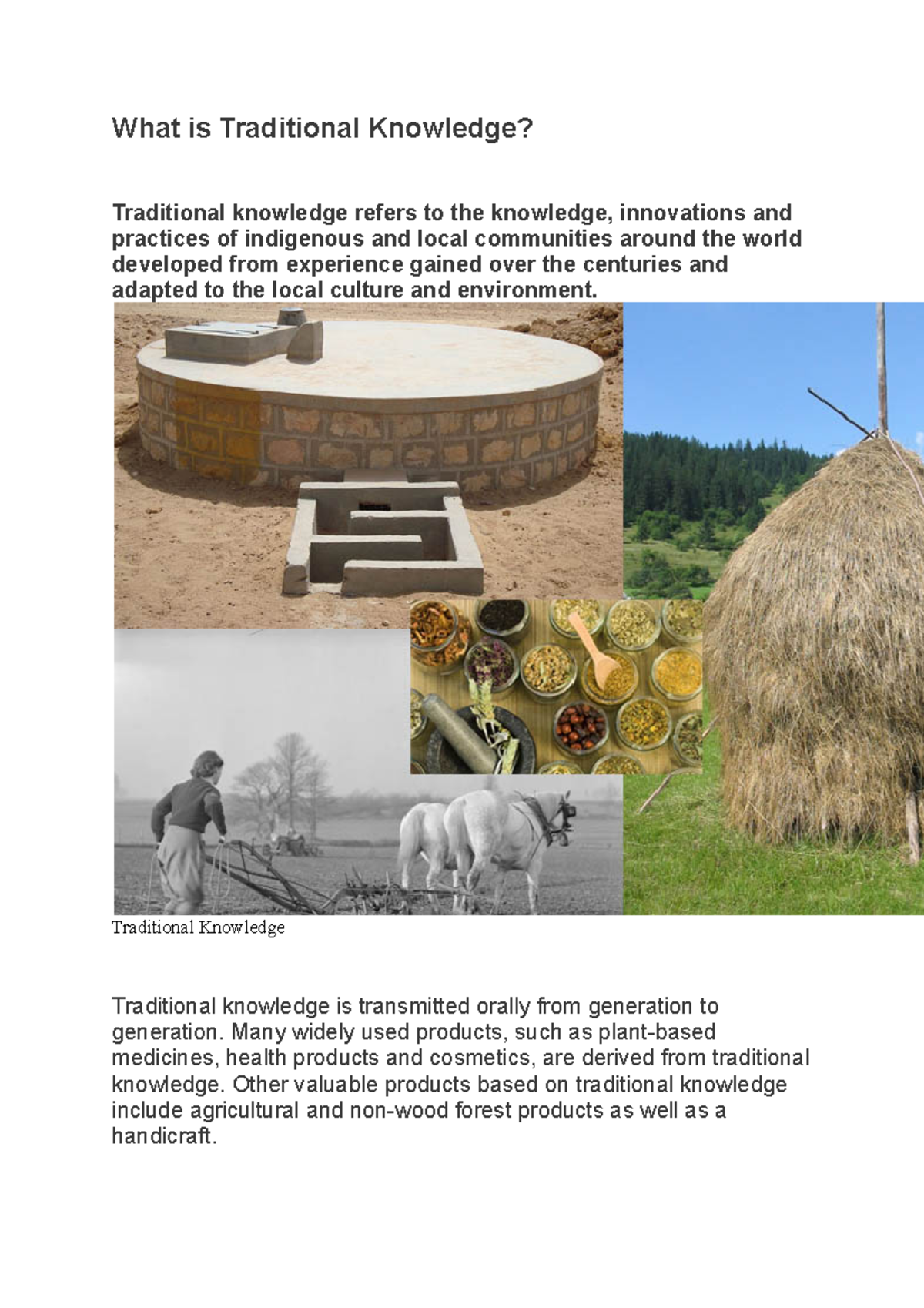 What Does Traditional Knowledge Mean