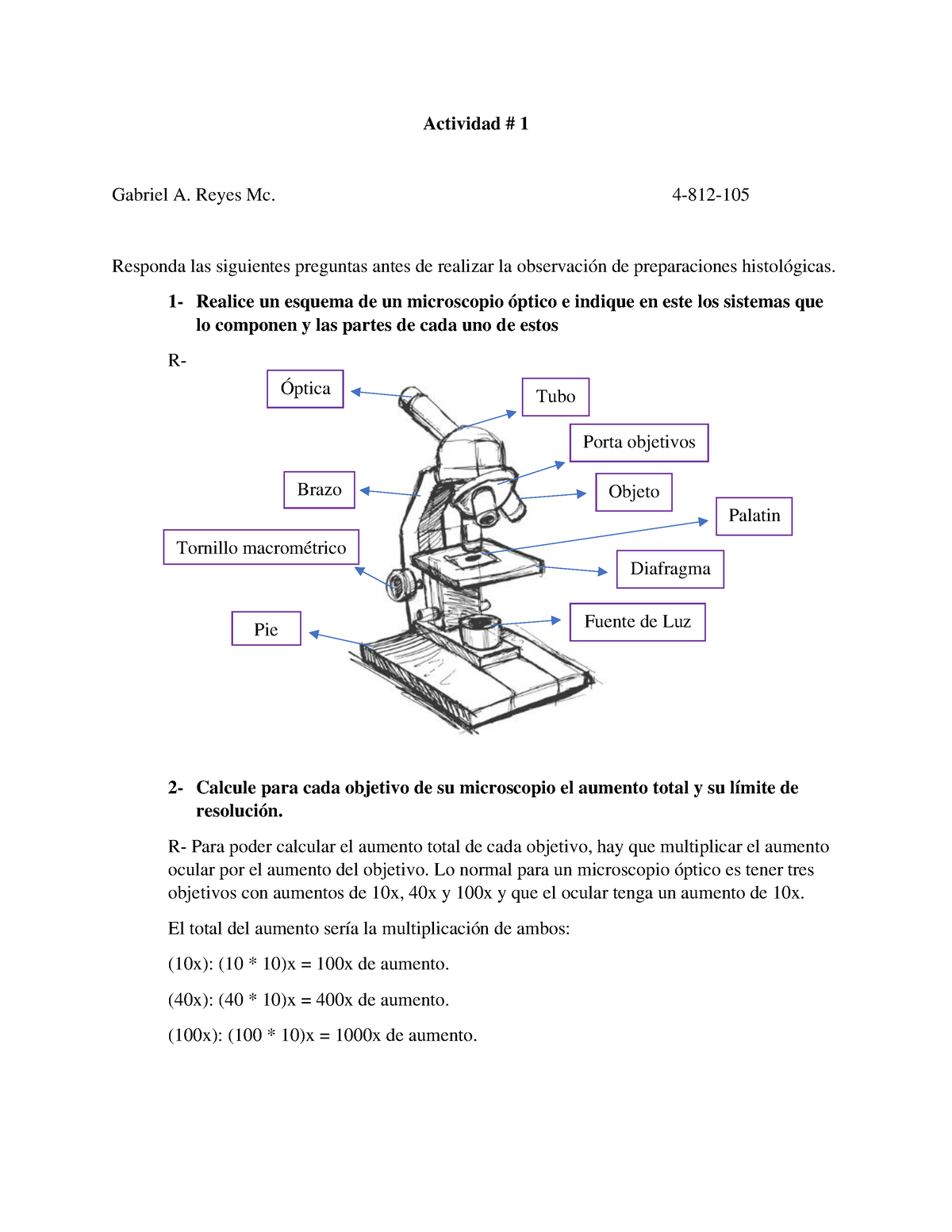 Histología - Work From Histology - Actividad # 1 Gabriel A. Reyes Mc. 4 ...