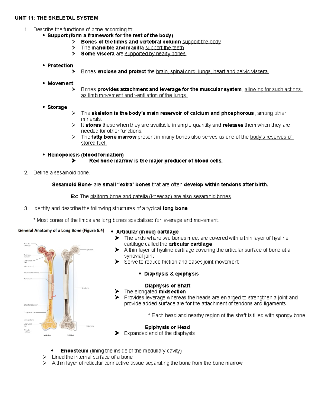 ANAT1052 unit11 - unit summary. this is a summary of the lecture notes ...