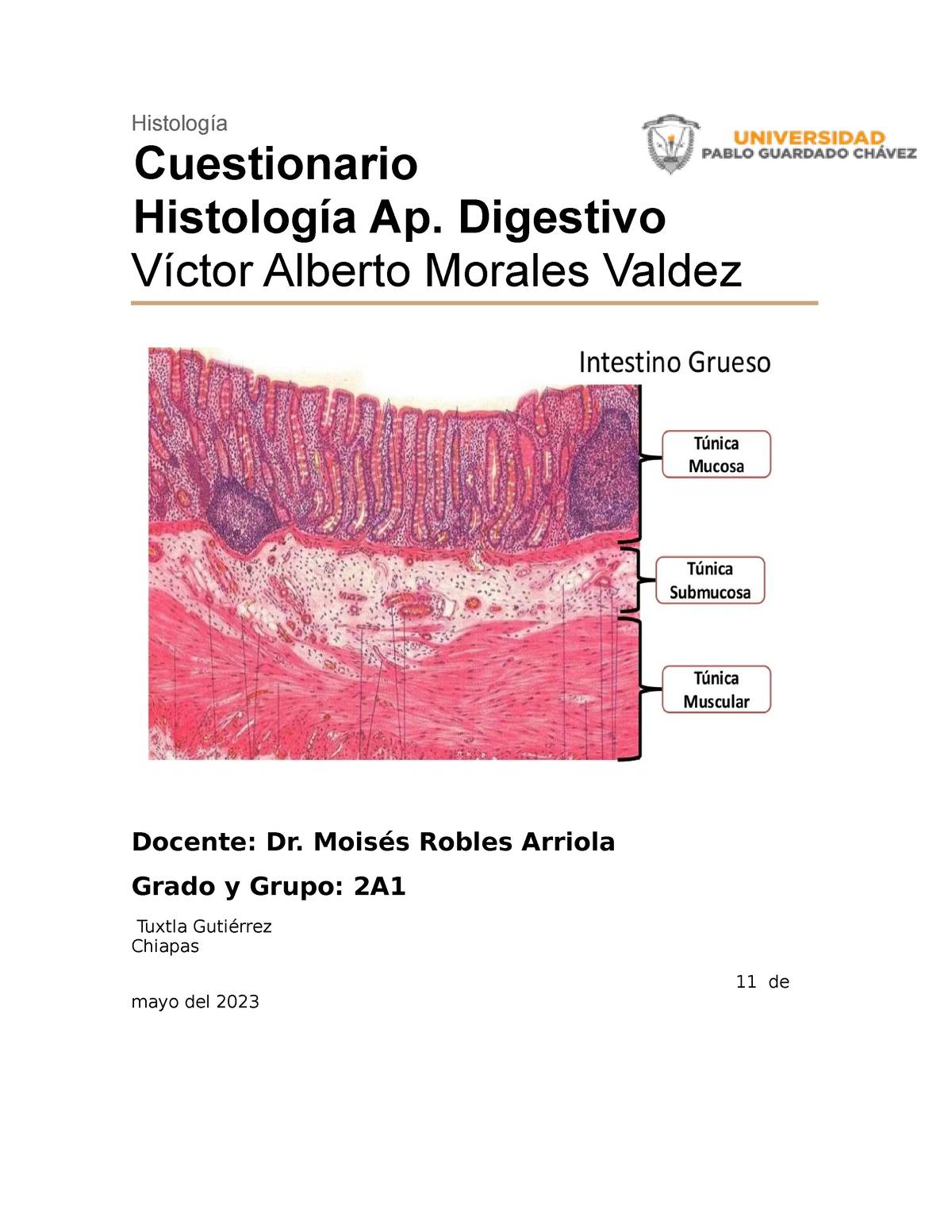 Cuestionario Histologia - Histología Cuestionario Histología Ap ...