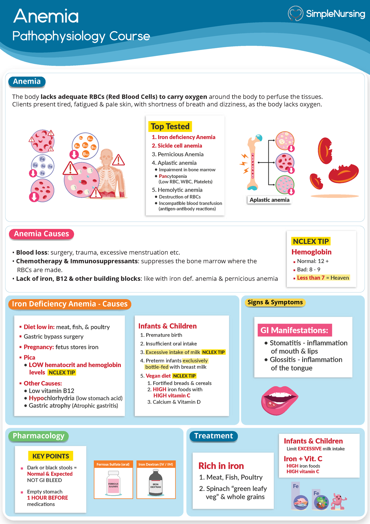 1. Anemia Types & Irone Def. Anemia - Anemia Pathophysiology Course Top 