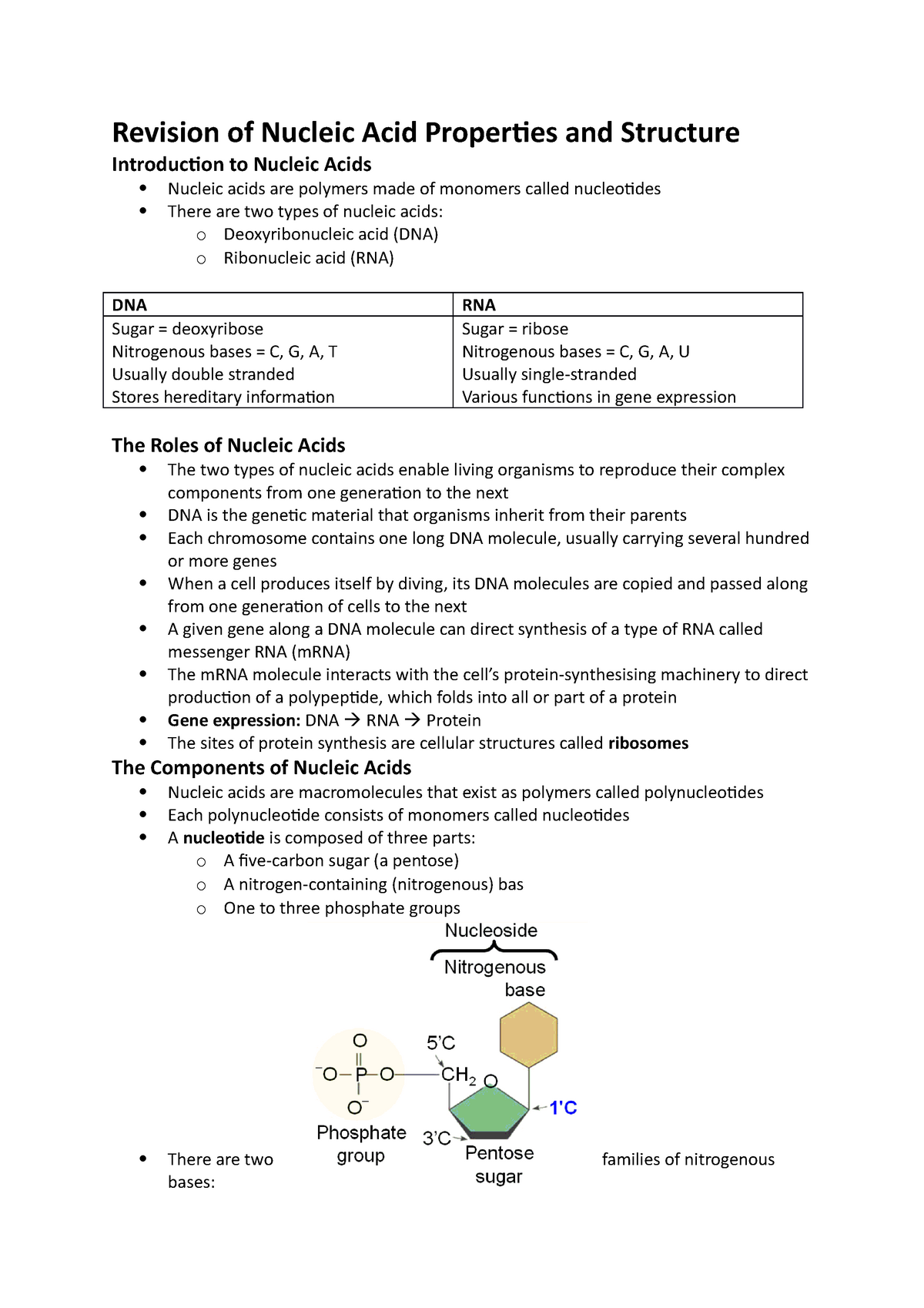 nucleic acid assignment pdf download