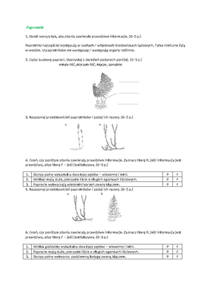 Język Polski. Wielki Sprawdzian. Klasa V. Test 2. Wersja A Rozdział ...