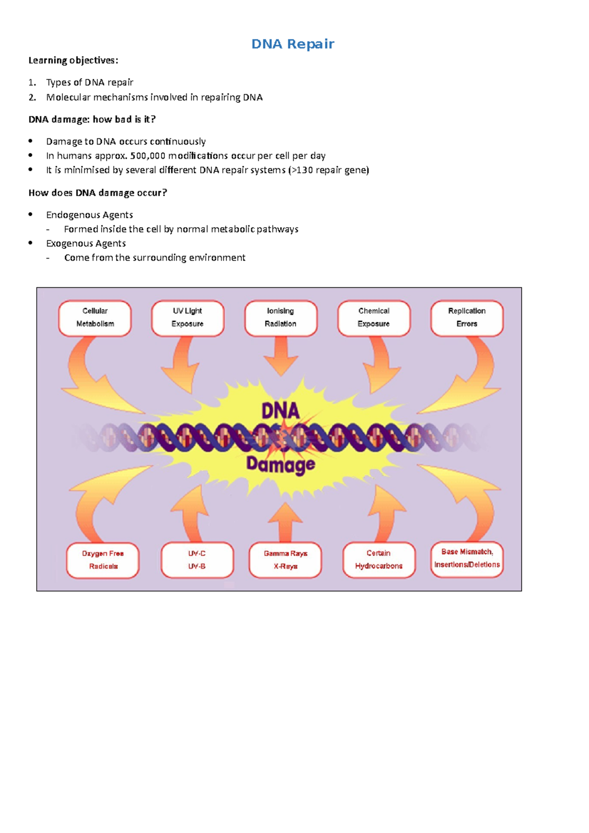 5-week-12-dna-repair-notes-dna-repair-learning-objecives-types-of