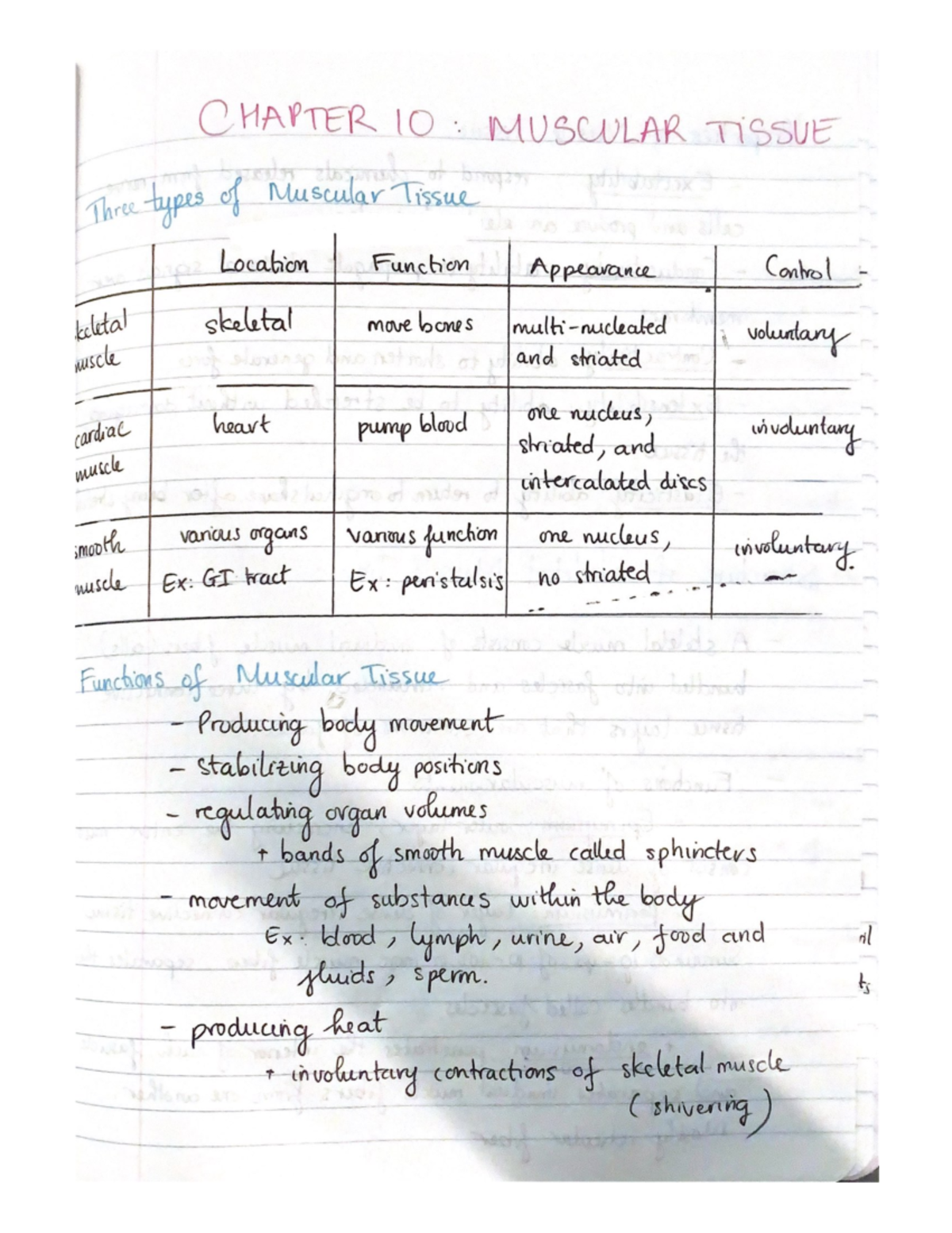 Chapter 10: Muscular Tissue - BIOL 251 - Studocu