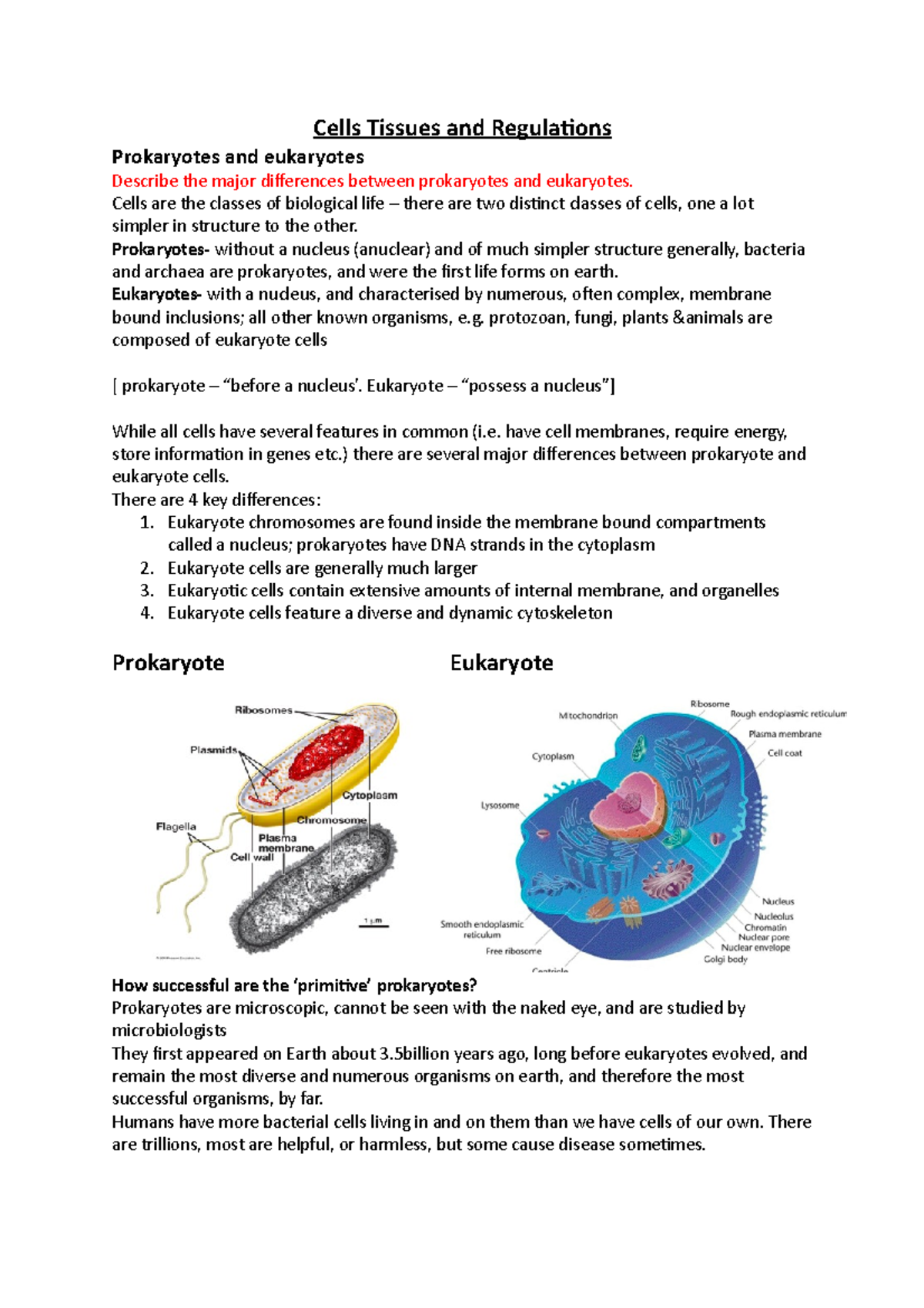 Cells Tissues Regulation Week 1 Cells Tissues And Regulations