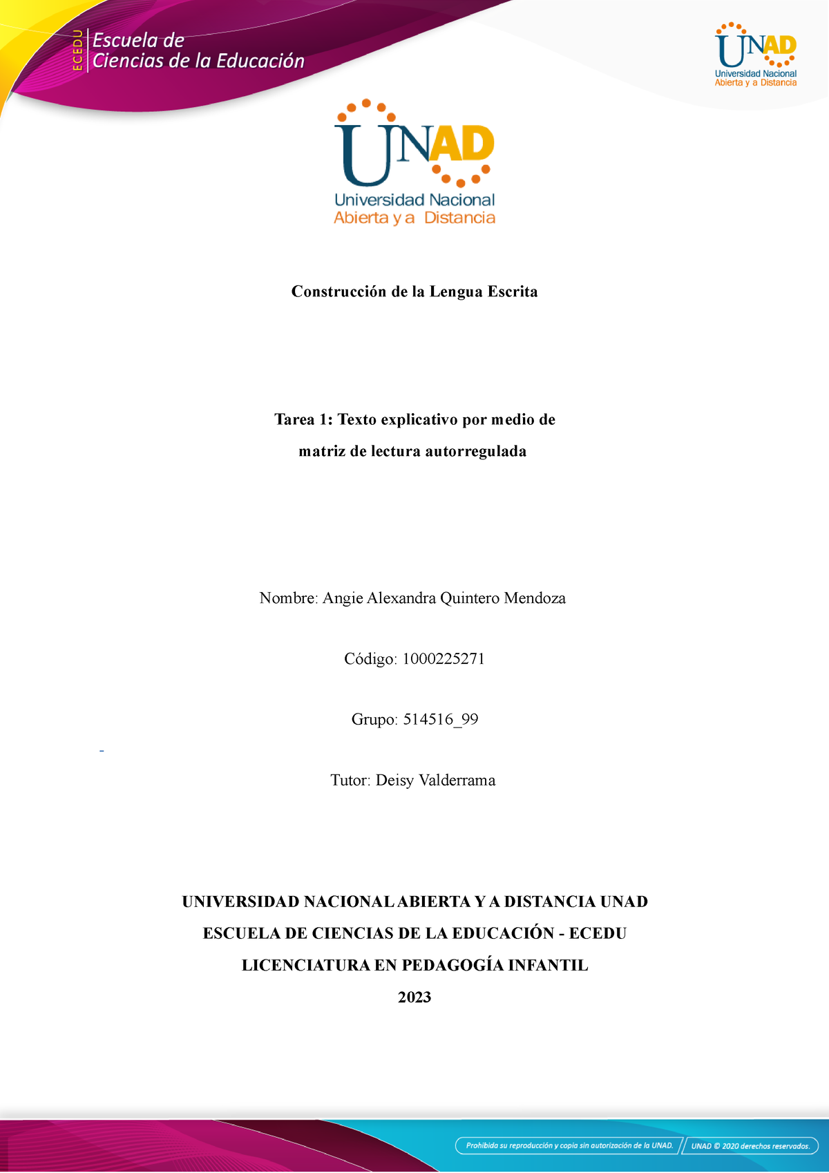 Formato Tarea 1- Matriz De Lectura Autoregulada - Construcción De La ...