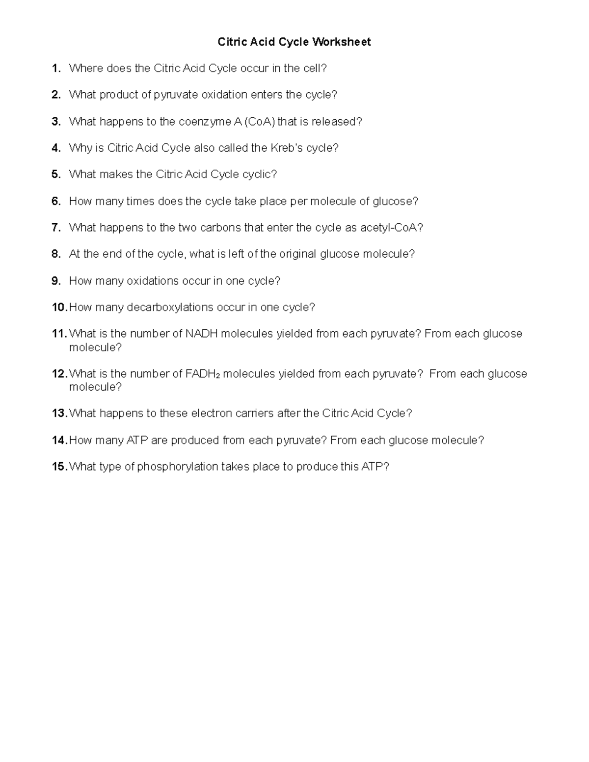 Busi 293 essay example 05 image