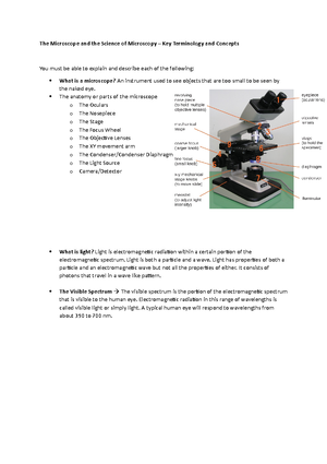 Sample Preparation for Light Microscopy - A solution used to preserve ...