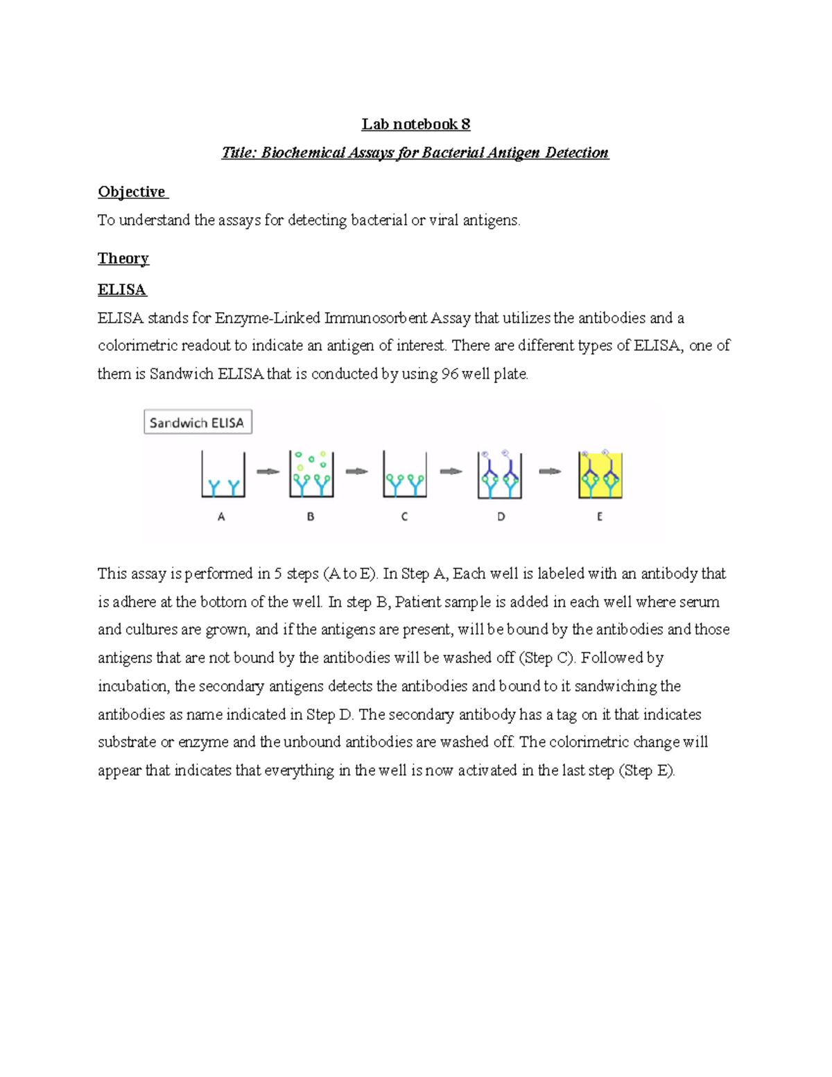 Lab notebook 8 dfdfds Lab notebook 8 Title Biochemical Assays for