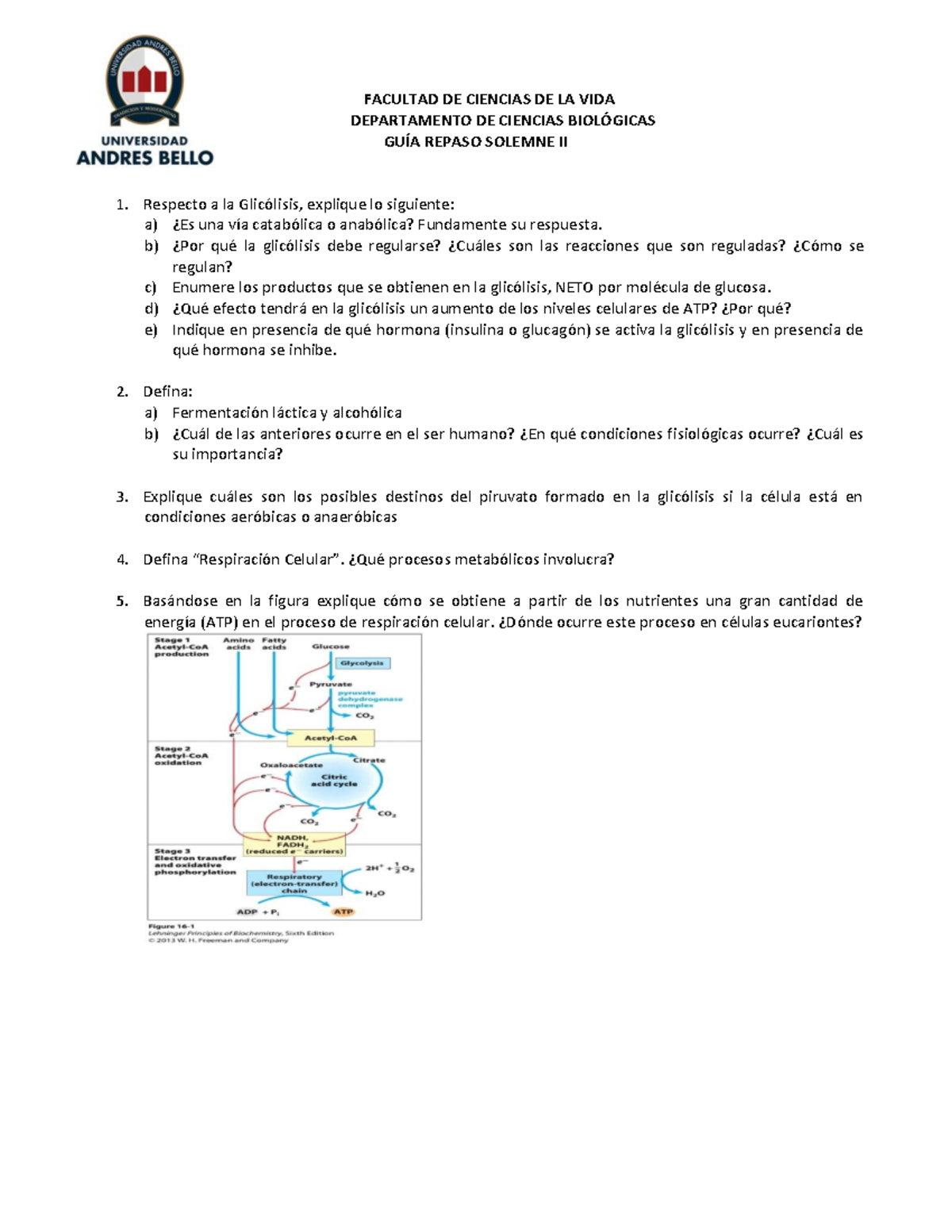 Guía Repaso Autónomo Solemne 2 BQ - FACULTAD DE CIENCIAS DE LA VIDA ...