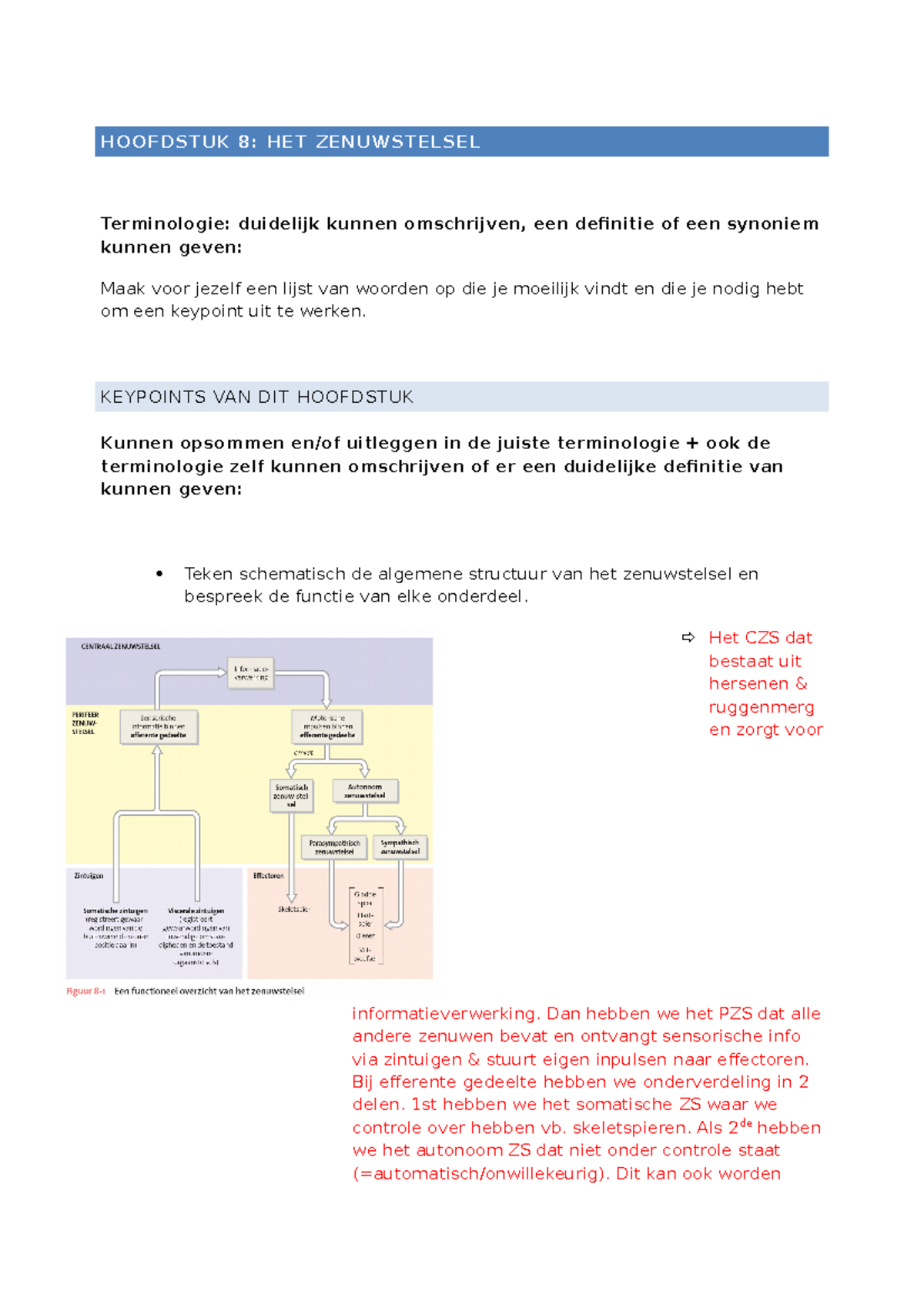 Keypoint HS 8 ZELF Anatomie & Fysiologie 2 - HOOFDSTUK 8: HET ...