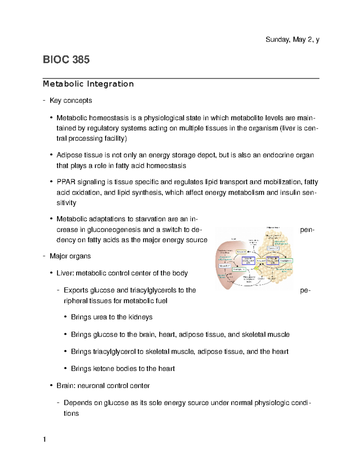 26 - Metabolic Integration - Wednesday, August 28, Y BIOC 385 Metabolic ...