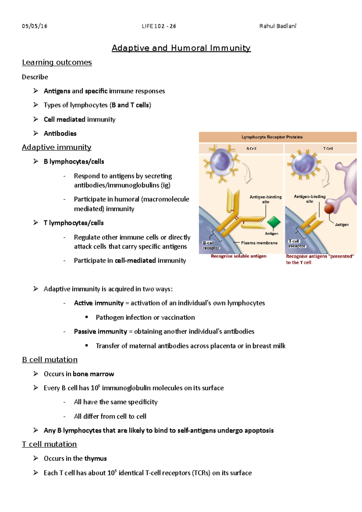 26 - Adaptive and Humoral Immunity - Adaptive and Humoral Immunity ...