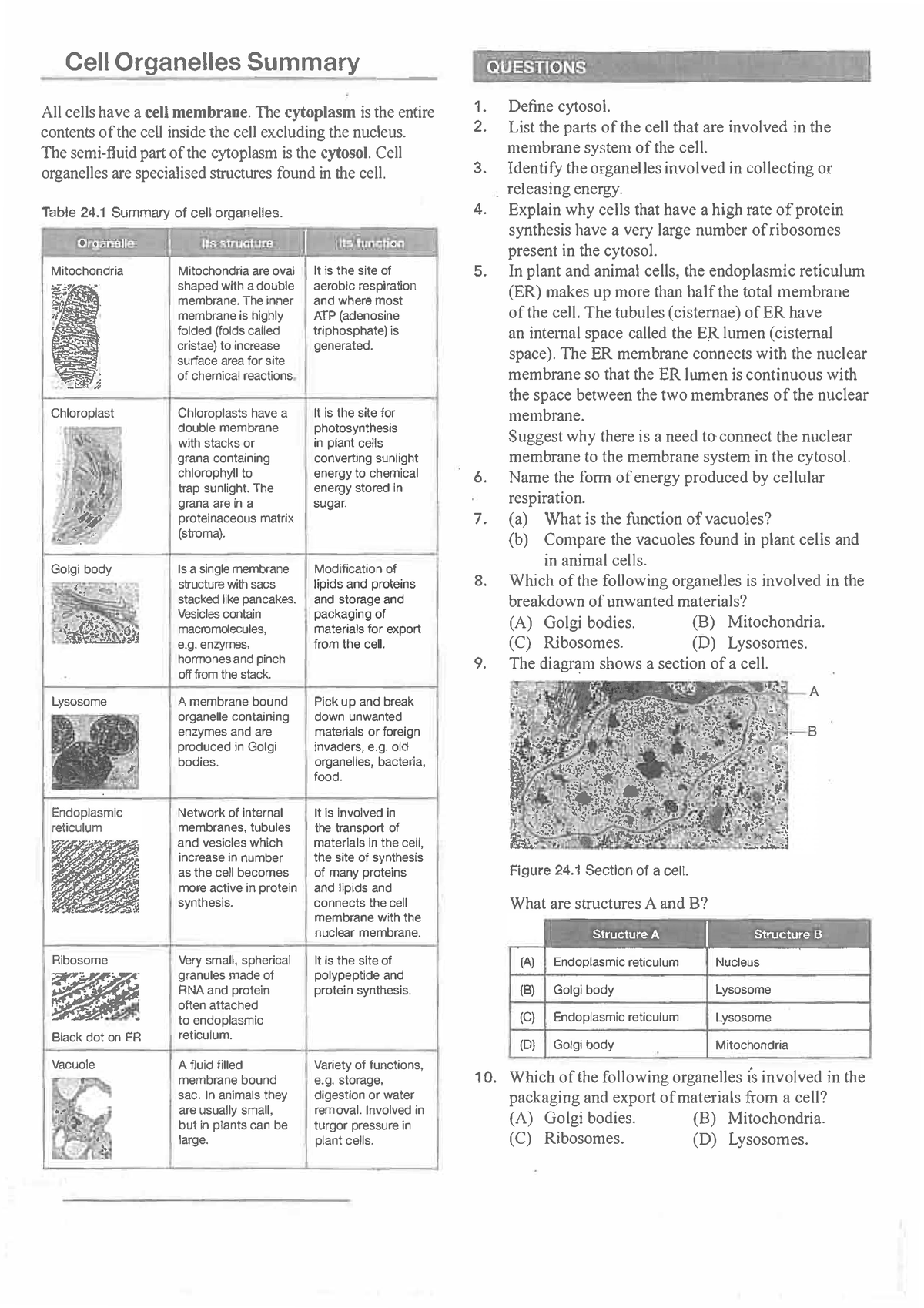 6l. Cell Organelles Summary ws - Cell Organelles Summary - All cells ...