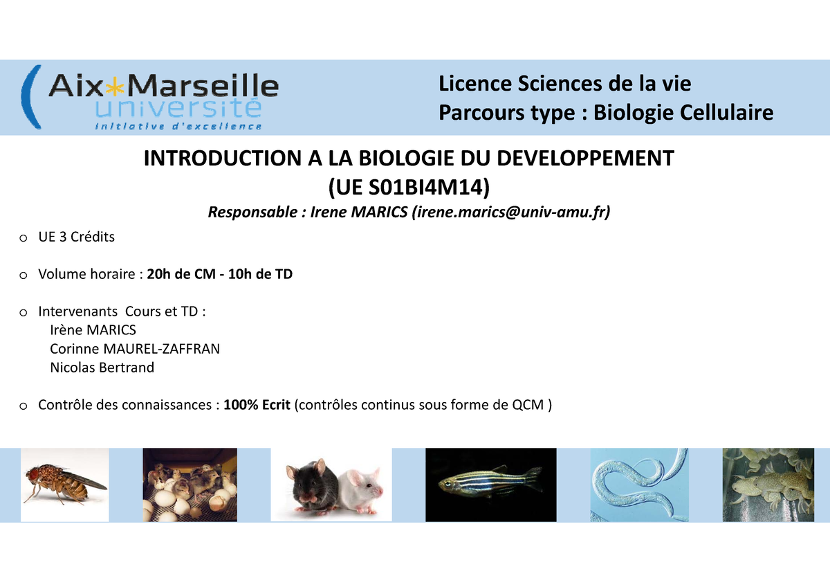 Biologie Du D‚veloppement - Licence Sciences De La VieParcours Type ...