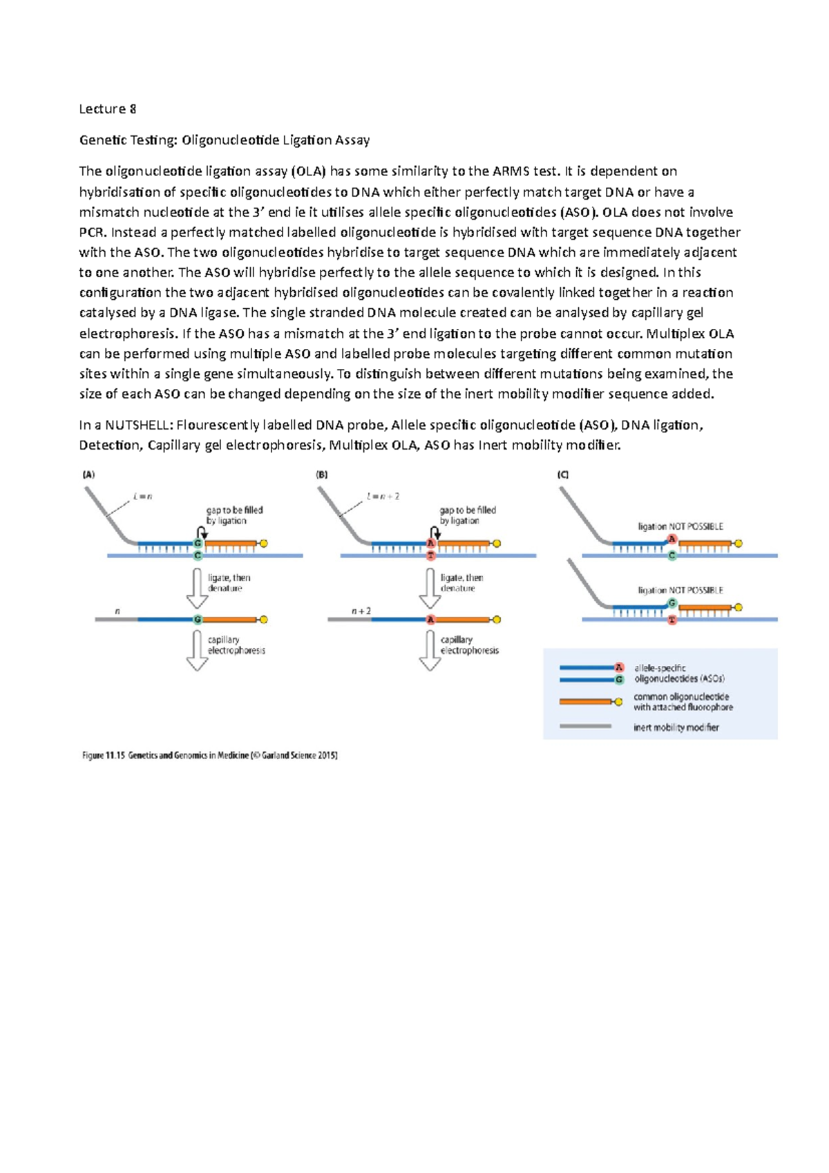 Lecture 8 - Genetic Testing: Oligonucleotide Ligation Assay - Lecture 8 ...