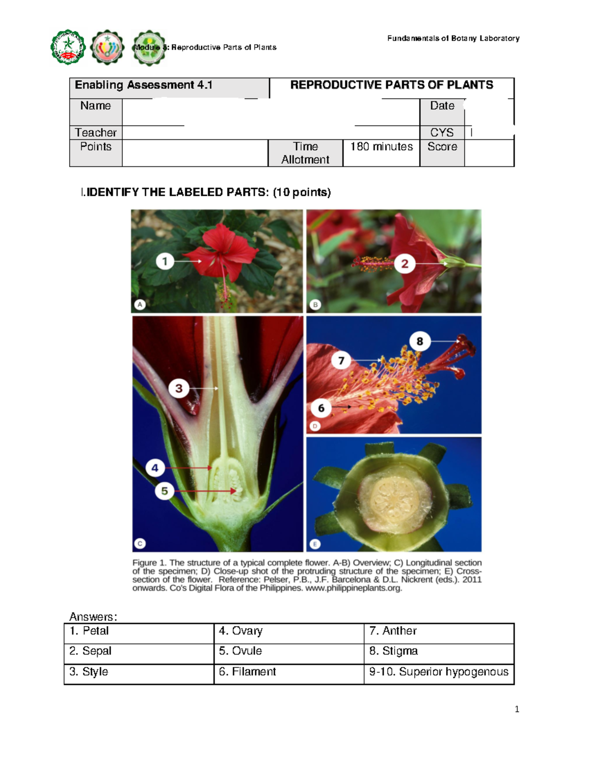 botany-lab-reproductive-parts-of-plants-module-8-reproductive-parts