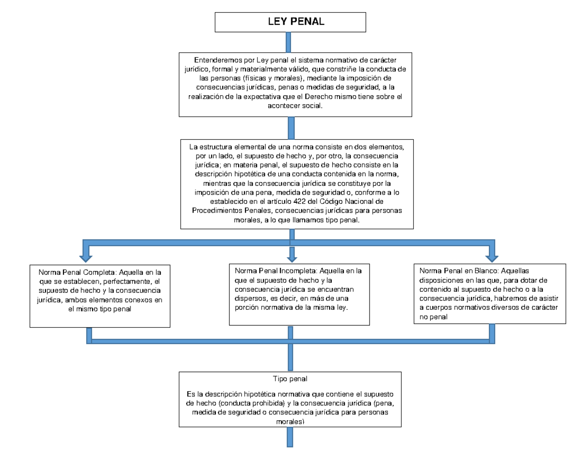 Ley Penal - LEY PENAL Entenderemos Por Ley Penal El Sistema Normativo ...