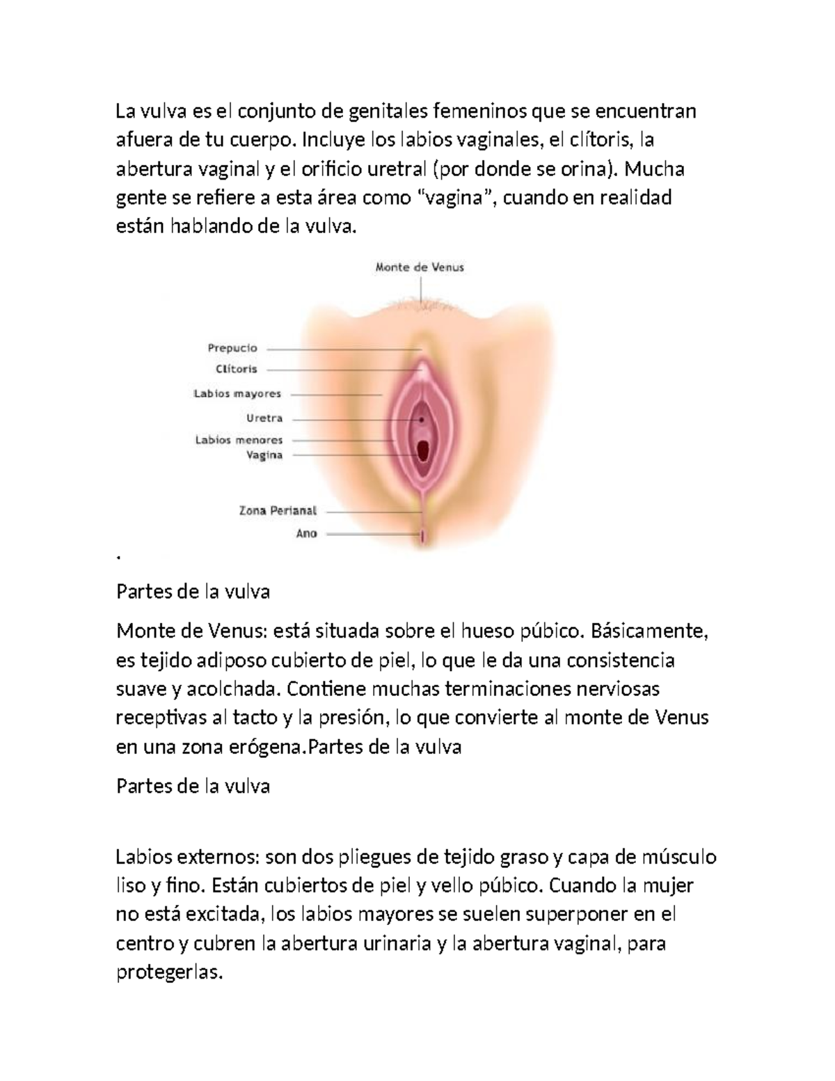 Vulva y vagina - organo femenino - La vulva es el conjunto de genitales  femeninos que se encuentran - Studocu