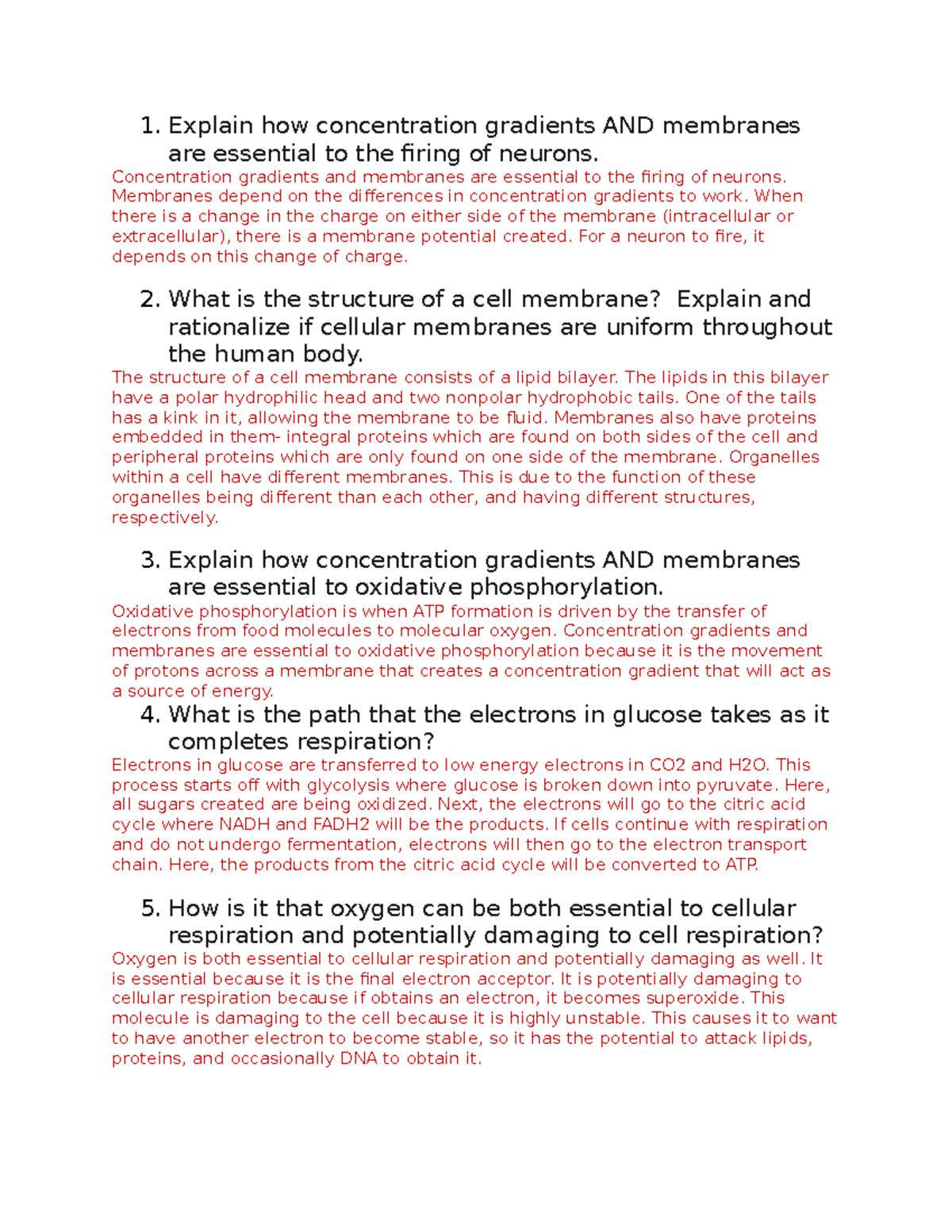 importance of concentration gradients a level biology essay