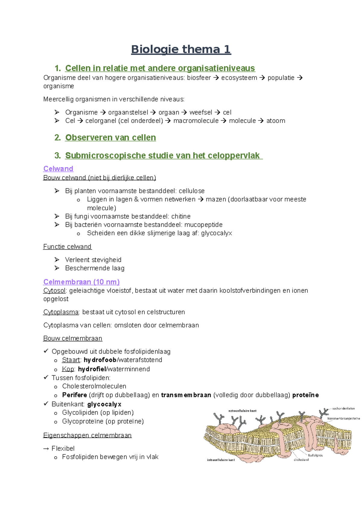 Bio Thema 1 - Biologie Thema 1 1. Cellen In Relatie Met Andere ...