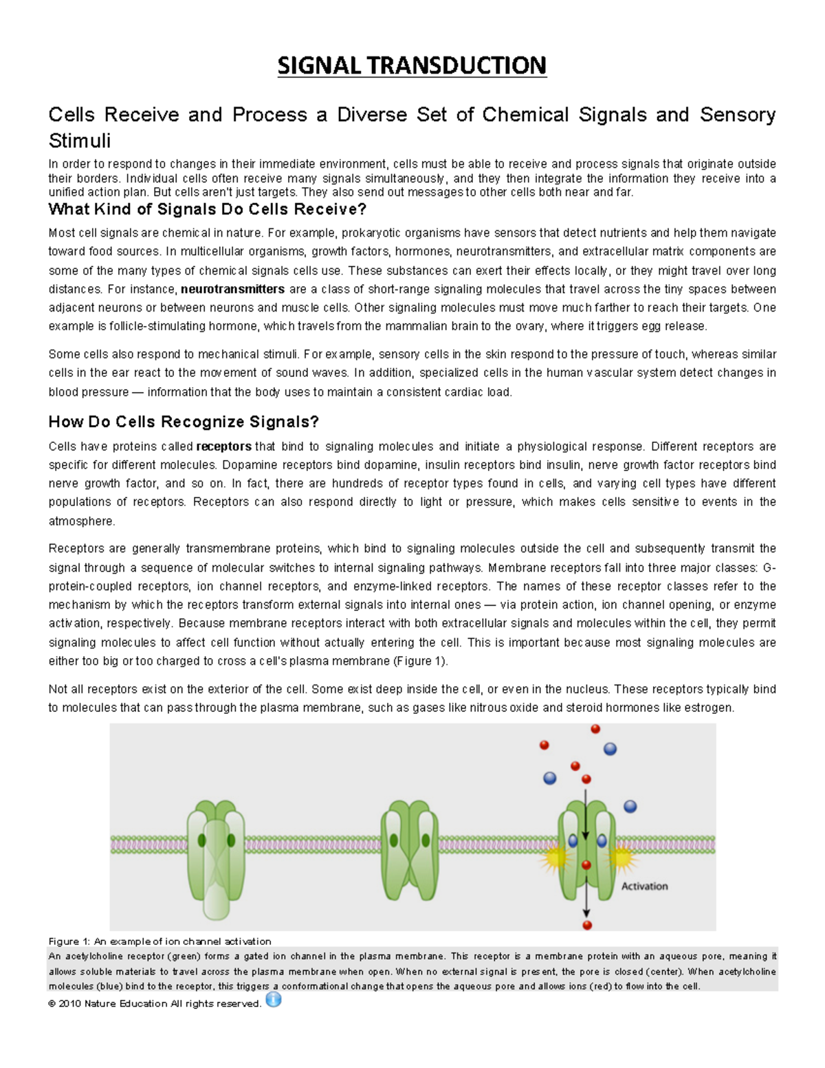 Signal Transduction - SIGNAL TRANSDUCTION Cells Receive and Process a ...