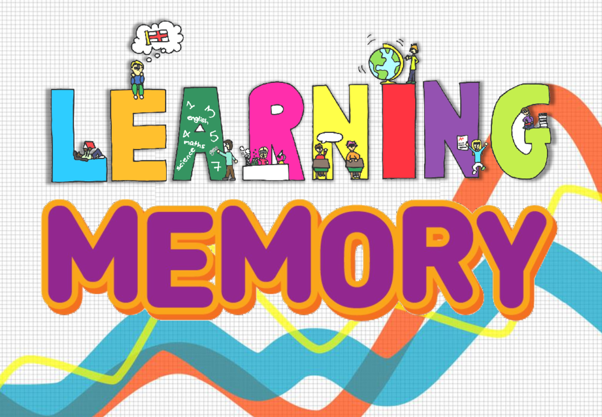 Chapter 8 Learning AND Memory - ####### Any relatively permanent change ...