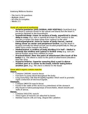 Anatomy & Physiology-Study Notes (week 1 And 2) - Week 1 – Study Notes ...