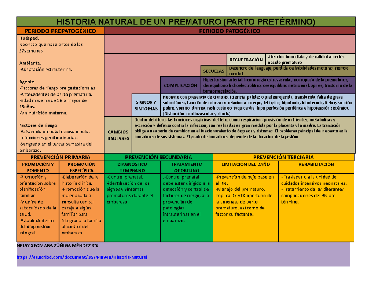 Historia Natural De La Enfermedad De Un Parto Prematuro O Pretermino