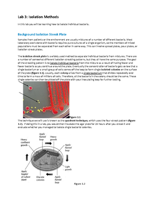 Exercise 36 - Dr. Randall Mark Jeter - Exercise 36: Bacteriophage Titer ...