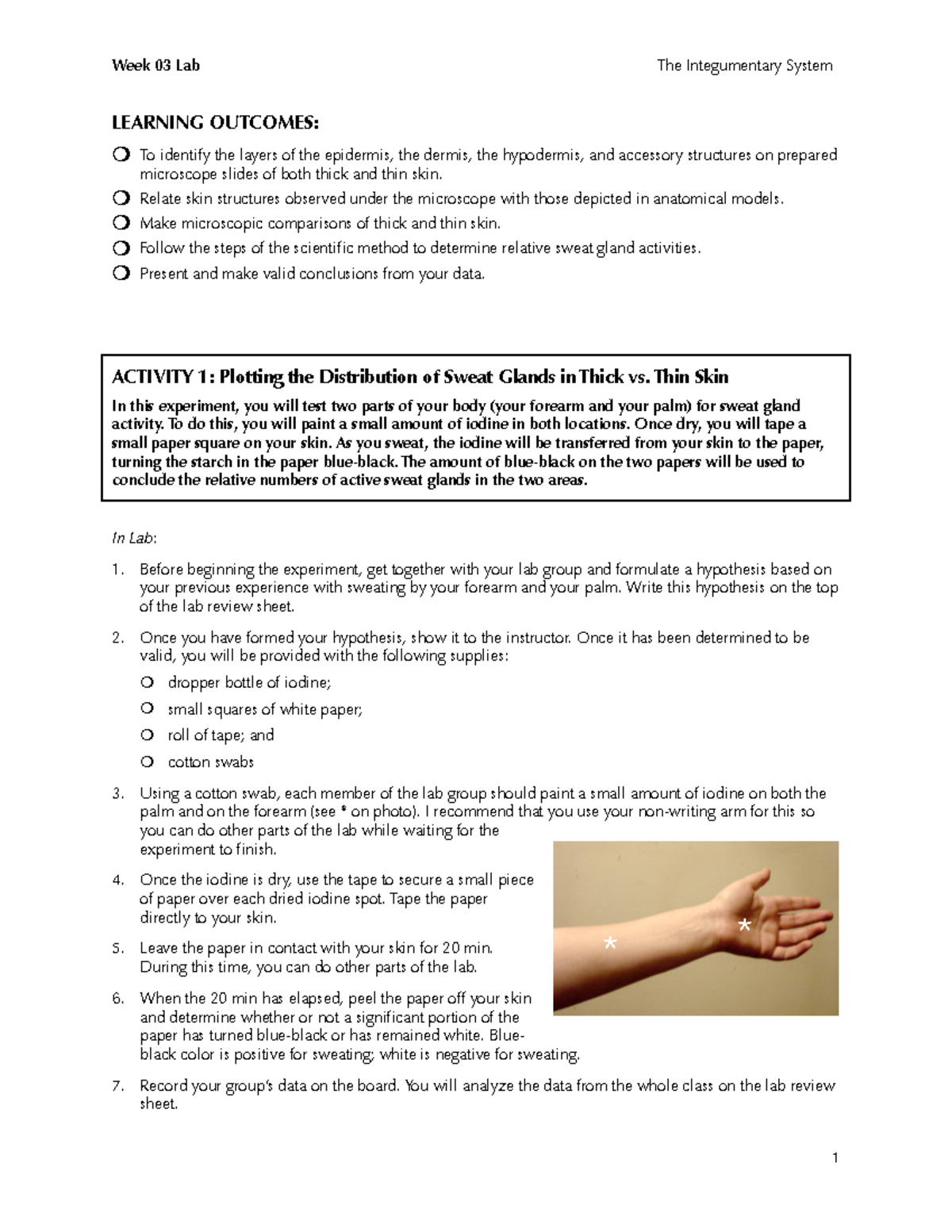 Lab 03 - The Integumentary System - LEARNING OUTCOMES: To identify the ...