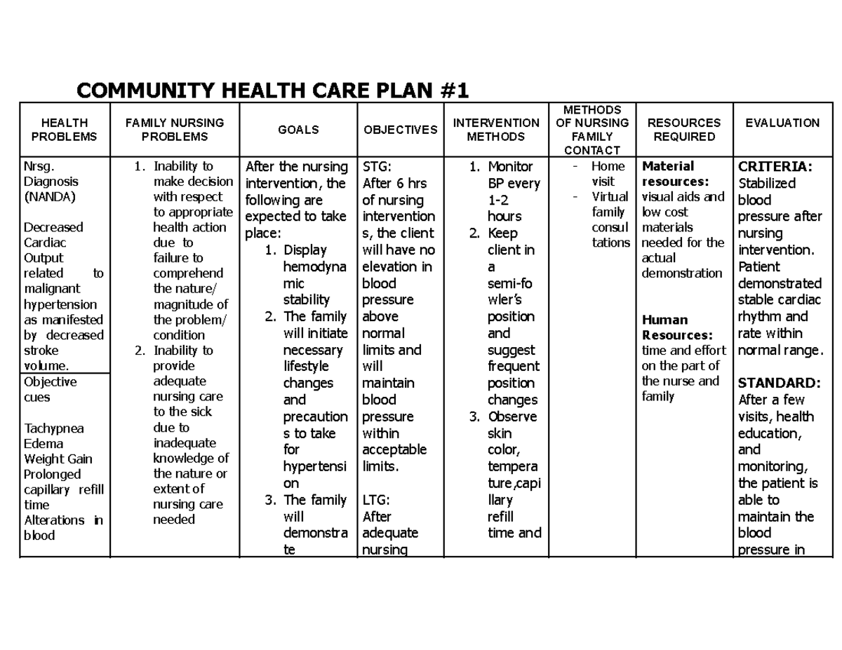 Community Health CARE PLAN COMMUNITY HEALTH CARE PLAN HEALTH PROBLEMS