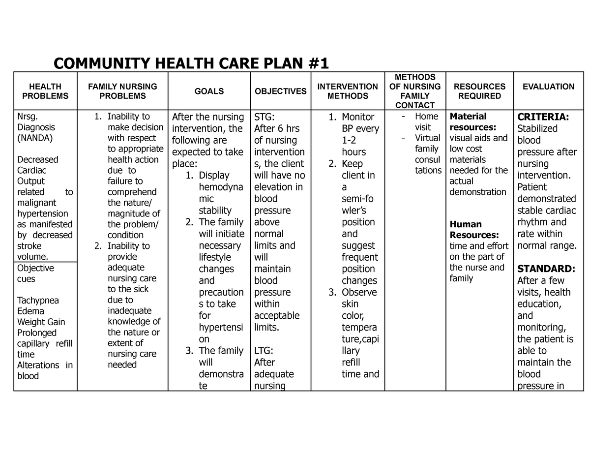 Community Health CARE PLAN COMMUNITY HEALTH CARE PLAN HEALTH PROBLEMS 