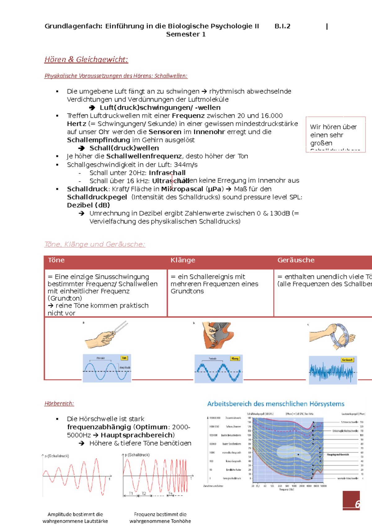 Zusammenfassung Biologische Psychologie 2 Das Auditorische System - Wir ...