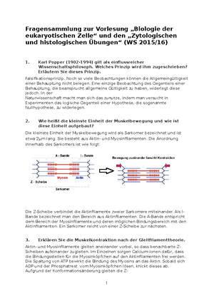 Biologie Lernzettel Abitur - Inhalt Zellbiologie Zwei Grundtypen Der ...