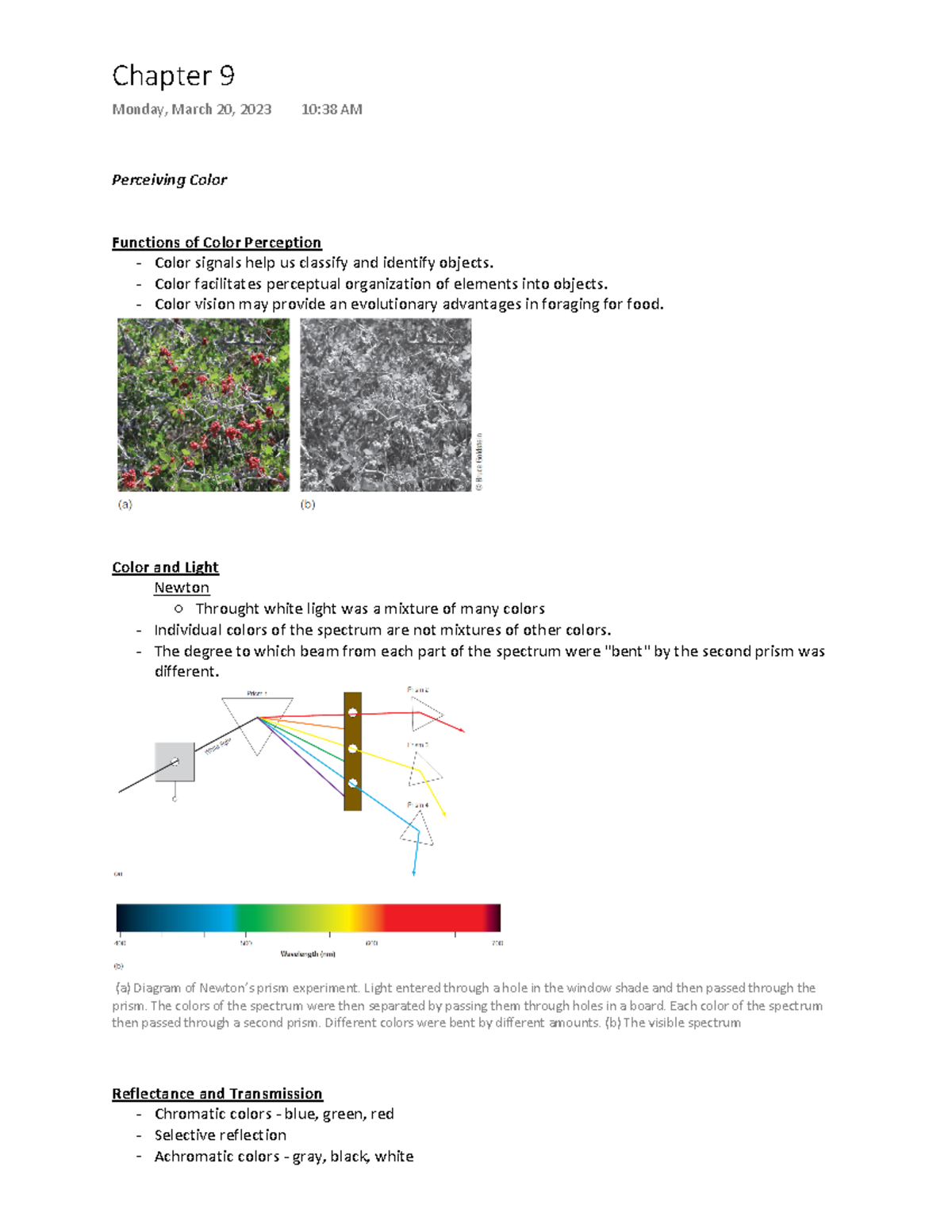 Perceiving Color - Sensation and Perception - PY 313 Lecture and ...
