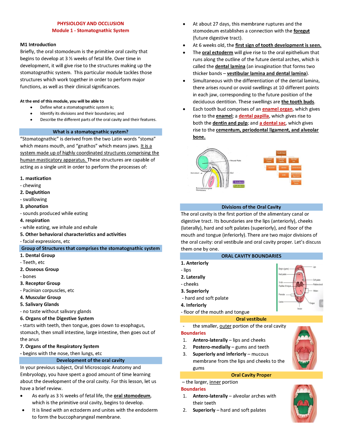 ORAL- Physio- Occlusion - PHYSIOLOGY AND OCCLUSION Module 1 ...